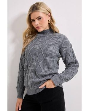 Dorothy Perkins Twisted Cable Funnel Longline Sweater - Gray