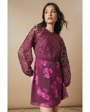 Oasis Occasion Floral Lace Bodice Mini Dress - Purple