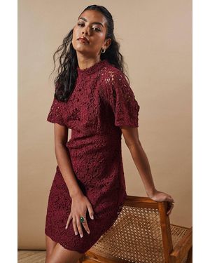 Oasis Petite Lace High Neck Button Mini Dress - Red