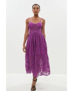 Coast Lace Bustier Midi Dress - Purple