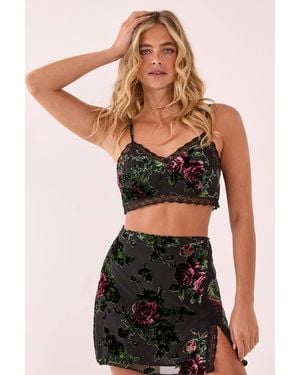 Nasty Gal Floral Devore Lace Trim Bralette - Black