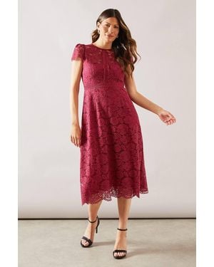 Wallis Lace Fit And Flare Dress - Red