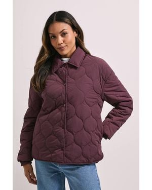 Dorothy Perkins Quilted Collared Jacket - Purple