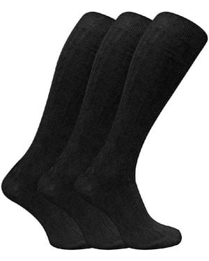 BoohooMAN Sock Snob 3 Pack Long Knee High Lightweight 100% Cotton Soft Breathable Socks - Black