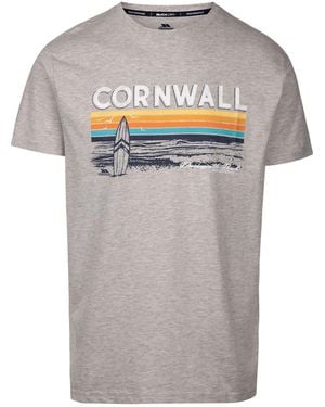 BoohooMAN Trespass Akkul T-shirt - Grey