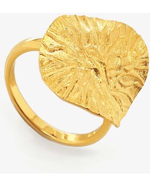 Sarah Alexandra Apollo Medallion Ring - Metallic