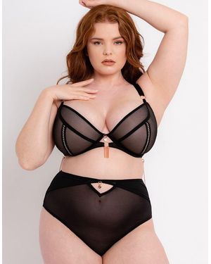Scantilly Unchained Plunge Bra - Black