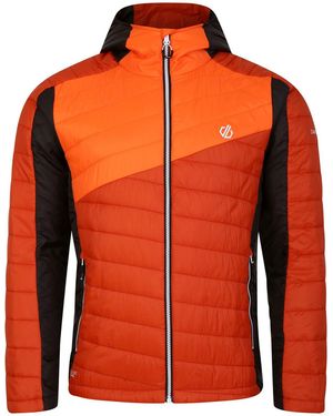 Dare 2b Padded Jacket Touring Polyester Rooibos Tea/Puffins - Orange