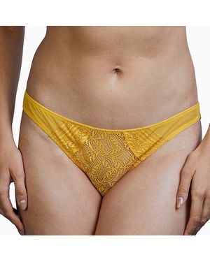 Deja Day Emma Mustard Brazilian Lace Brief - Yellow