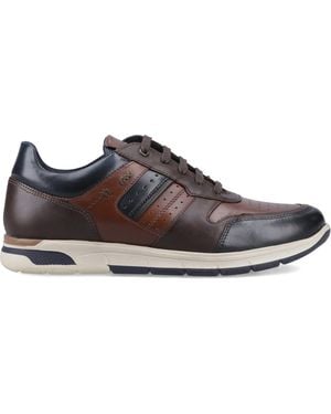 Pod Arrow Casual Shoe - Brown