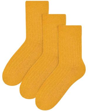 Steve Madden 3 Pack Ladies Original Wool Dress Socks - Orange