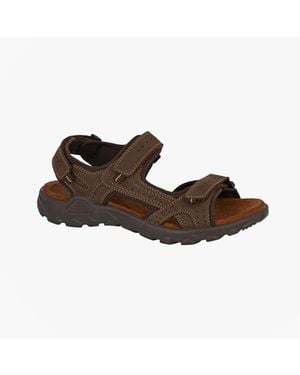Roamer Bill Sandals - Brown