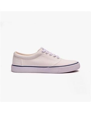 TOMS Fenix Trainers - White