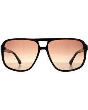 Timberland Aviator Dark Havana Polarized Tb00031 - Brown