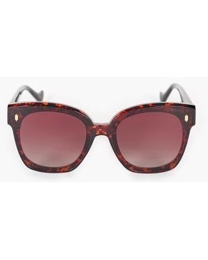 Tutti & Co Dene Sunglasses - Brown