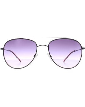 Calvin Klein Sunglasses Ck20120S 008 Gunmetal Gradient - Purple