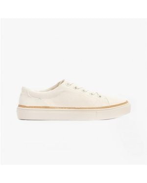 TOMS Natural Alex Birch Trainers - White