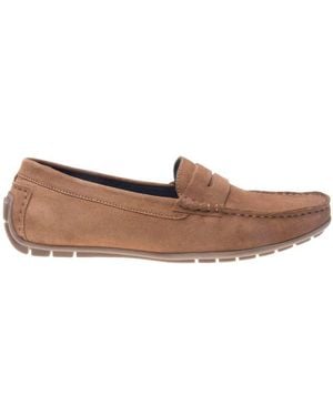 Lotus Adison Shoes - Brown