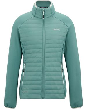 Regatta Hybrid Jacket Clumber Mixed Ivy Moss - Green
