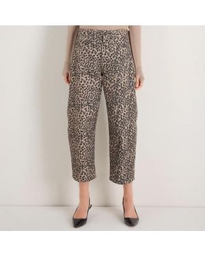 Wyse Cheetah Print Remy Horseshoe Cotton Jean - Brown