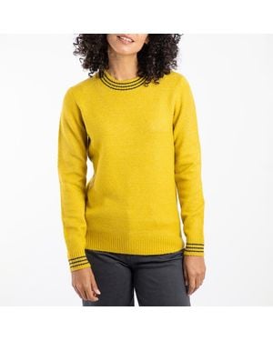 Weird Fish Dawkins Tipped Knitted Jumper - Yellow