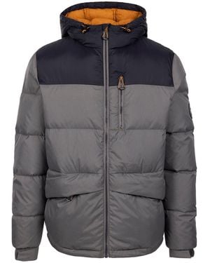 Trespass Down Jacket Erris Polyamide Storm - Grey