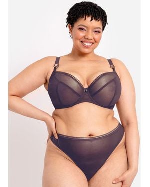 Curvy Kate Lifestyle Plunge Bra Plum - Grey