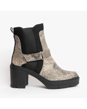 Rocket Dog Dark Kali Heeled Ankle Boots - Black