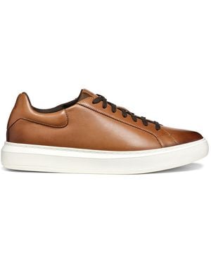 Geox Light Leatehr Deiven Trainers - Brown