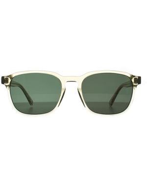 Ted Baker Square Straw Dark Tb8246 Ollie - Green