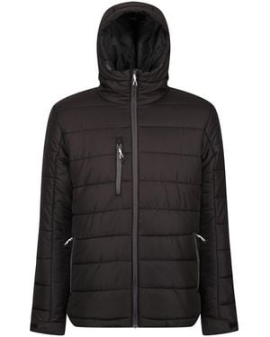 Regatta Padded Jacket Polyester/Seal - Black