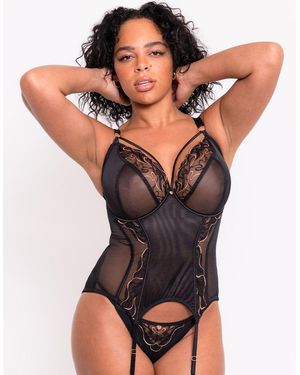 Scantilly Fascinate Plunge Basque - Black