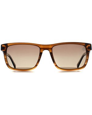 Timberland Rectangle Striped Horn Tb00020 - Brown