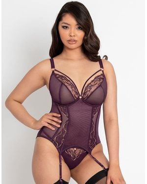 Scantilly Fascinate Plunge Basque Plum - Purple