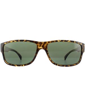 Timberland Sunglasses Tb9064 52R Dark Havana - Green
