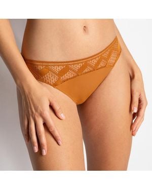 Passionata Scarlett Brief - Brown