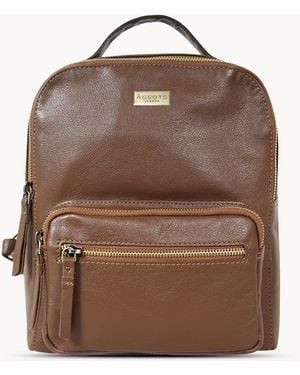 Assots London Angel' Nappa Full Grain Leather Zip-Top Backpack - Brown