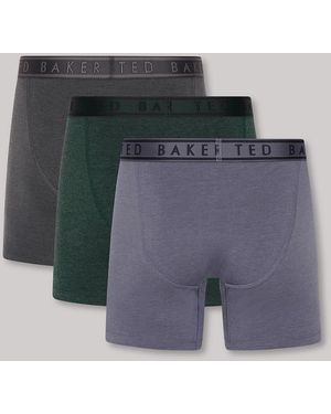 Ted Baker Pinstripe/Scarab/Folkstone 3-Pack Cotton Boxer Brief - Grey