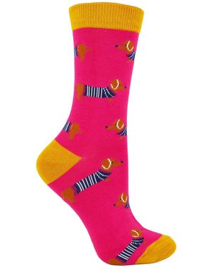 Miss Sparrow Parisan Pups 1 Pack Ladies Novelty Dog Pattern Bamboo Socks - Pink