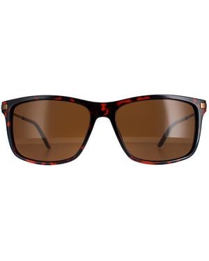Timberland Square Tb7177 Sunglasses - Brown