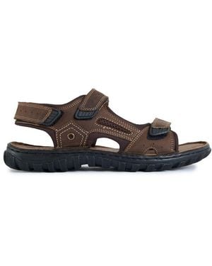Lotus Douglas Sandals - Brown