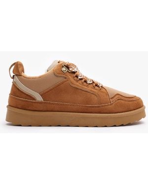 Where's That From 'Elara' Chestnut Suede Lace-Up Trainers - Brown