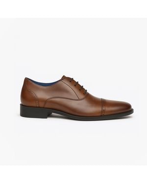 Roamer Jonty Oxford Shoes - Brown