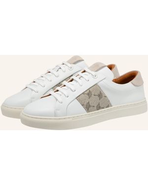 Joop! Sneaker MAZZOLINO LISTA 1.0 CORALIE - Natur