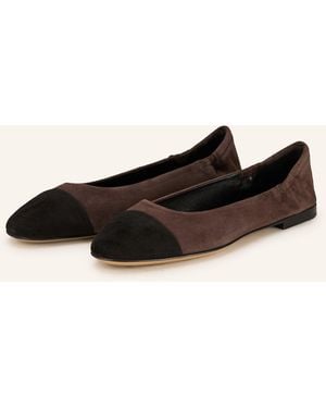 Pomme D'or Ballerinas GIORGIA - Braun