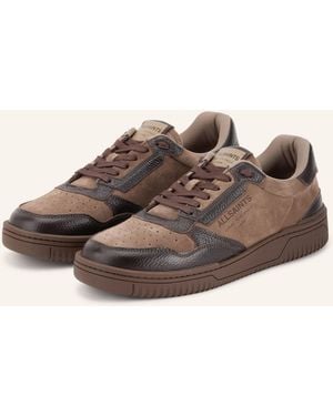 AllSaints Sneaker REGAN - Braun