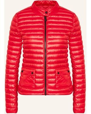 Save The Duck Steppjacke TWINKLE - Rot