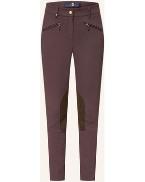 Pamela Henson Hose PHSOHO - Lila