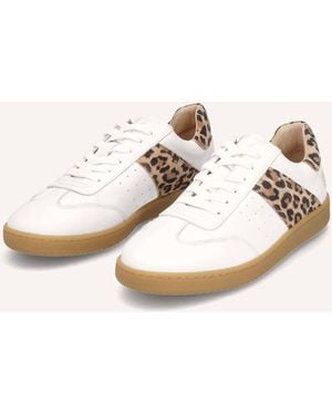Apple Of Eden Sneaker - Natur