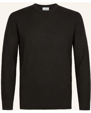 Profuomo Pullover - Schwarz